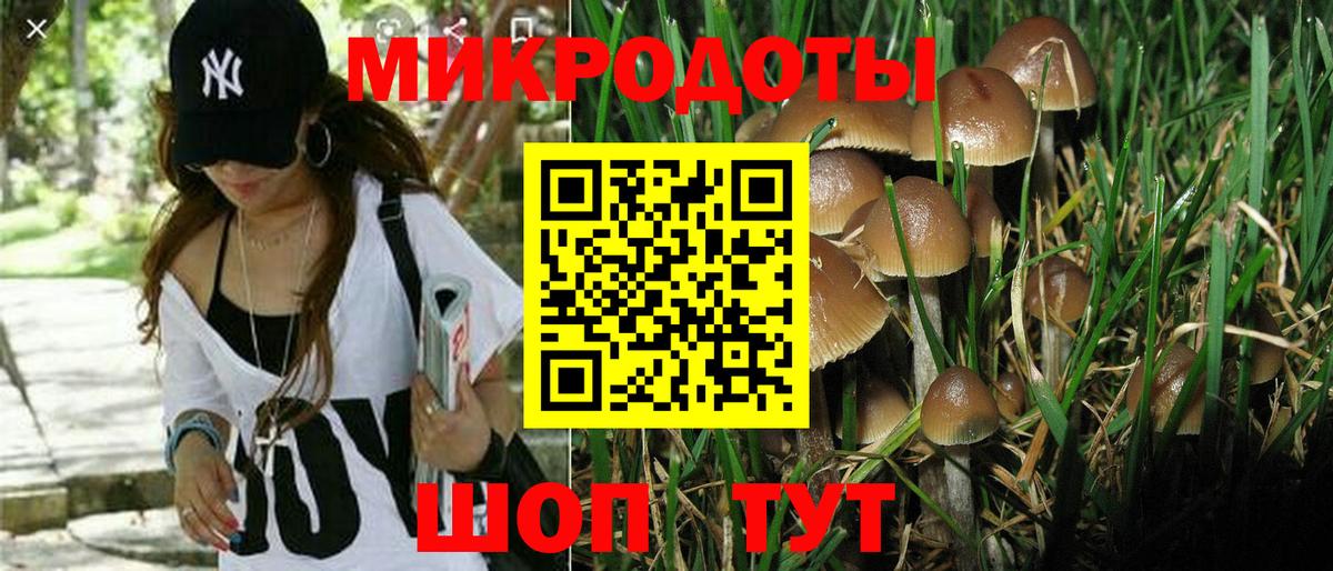 Рубцовск  Псилоцибиновые грибы мицелий  Вход с VPN 